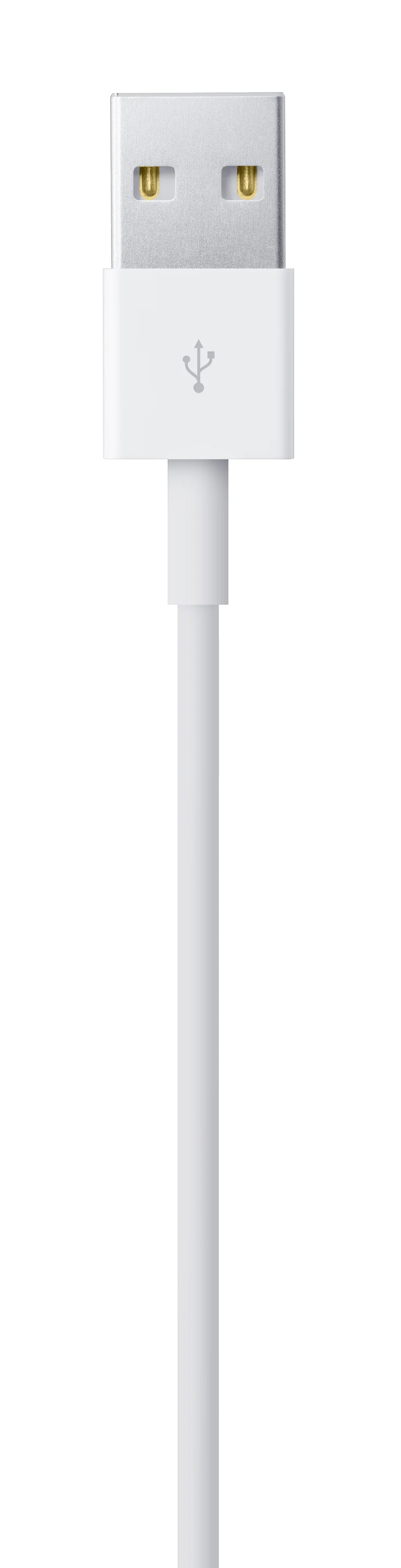 Cable Lightning a USB (1 m) - Image 4